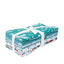 Load image into Gallery viewer, Assorted Ski Hill Teal 9 Yard Flat Fold Bundle