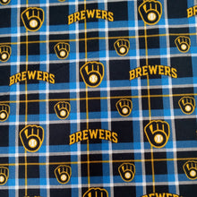 Load image into Gallery viewer, Handmade Blanket, Burp Rag/ Security Blanket, and Bib Brewers