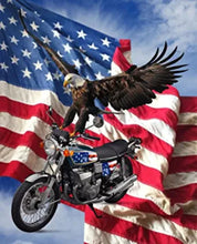 Load image into Gallery viewer, Handmade Tapestry "Biker Eagle”