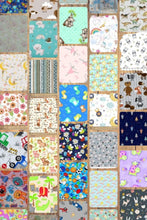 Load image into Gallery viewer, Assorted Children's Flannel - 1/2 Yard Cuts - 20 Prints- Fabric Bundle