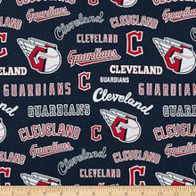 Load image into Gallery viewer, Handmade Placemat Or Table Runner Guardians