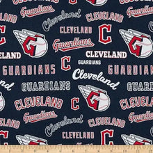 Load image into Gallery viewer, Handmade Valance or Curtain Panel Guardians