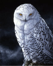 Load image into Gallery viewer, Handmade Tapestry "Snowy Owl”