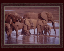 Load image into Gallery viewer, Handmade Tapestry "Riverbank Procession Elephants”