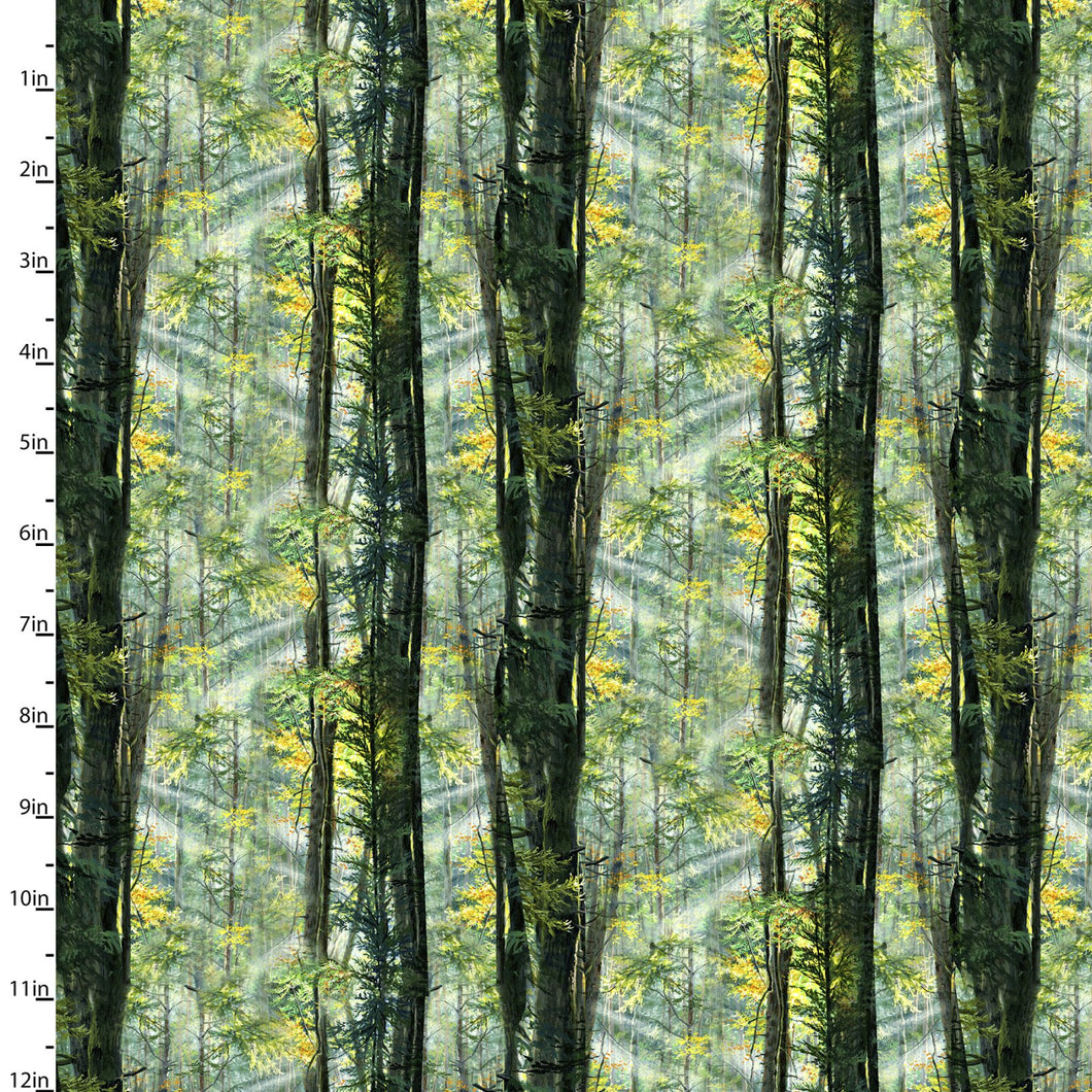 Handmade Placemat Or Table Runner Nature Walk Sunlight in the Forest