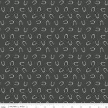 Load image into Gallery viewer, Handmade Valance or Curtain Panel Cowboys Horseshoes Graphite
