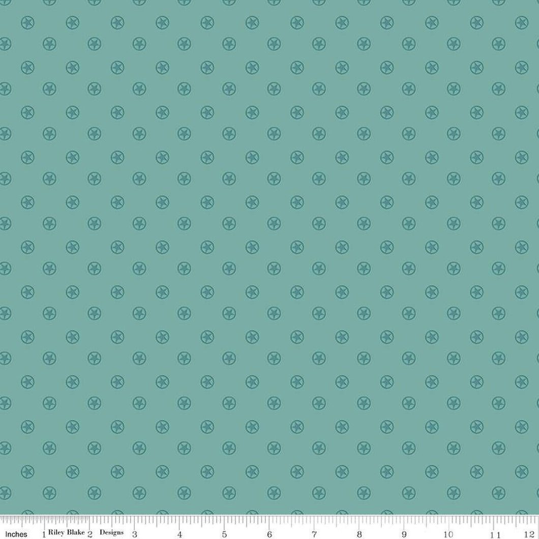Handmade Valance or Curtain Panel Cowboys Circle Stars Teal
