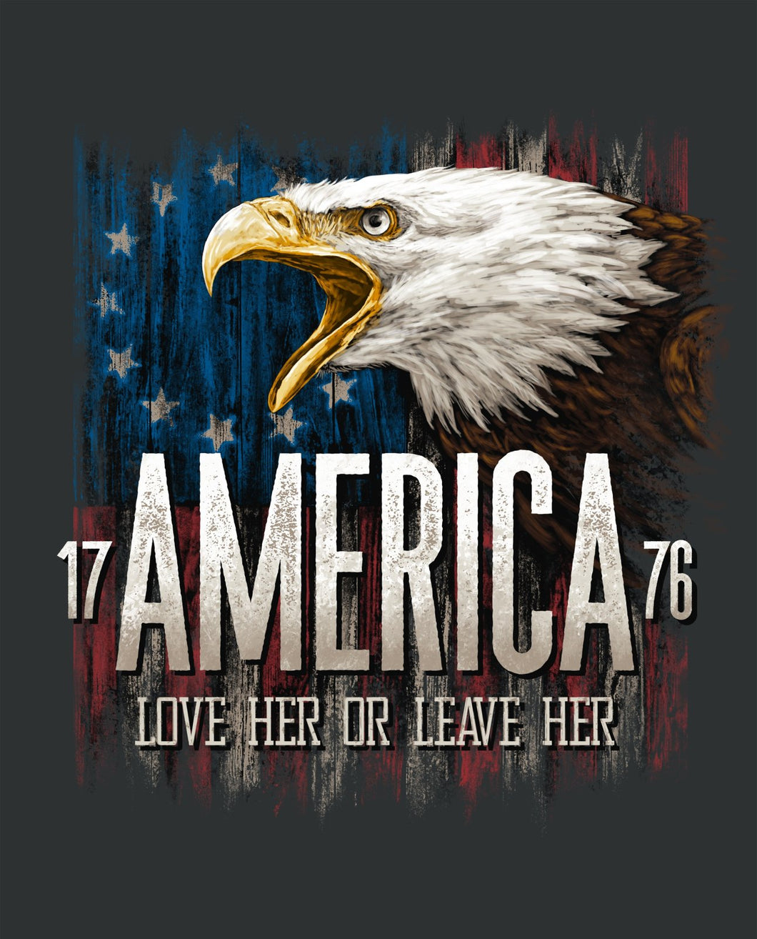 1776 America Panel (35.5
