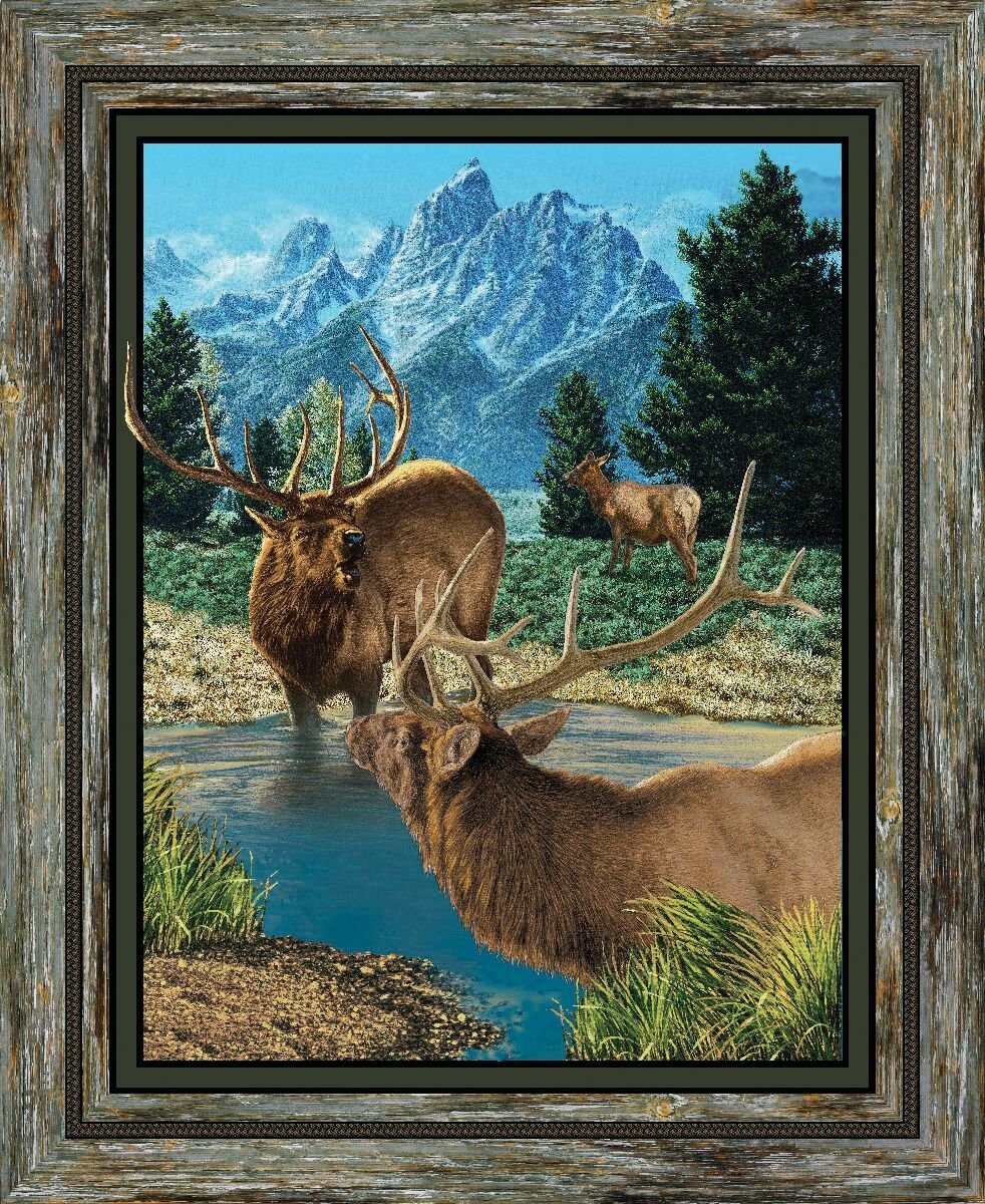Elk 45