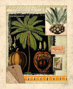 Exotic Memory 45" Cotton Panel Fabric