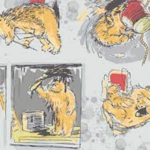 Paddington Grey Cotton Fabric