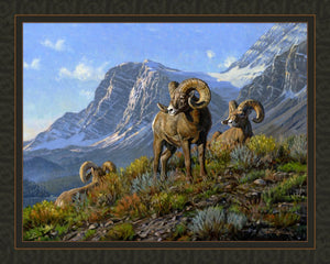 Rams Panel Cotton Fabric