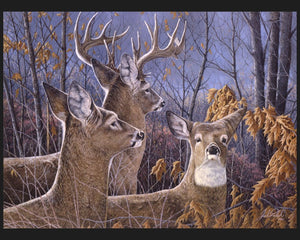 Cautious Moment Deer 45" Wide Cotton Panel Fabric
