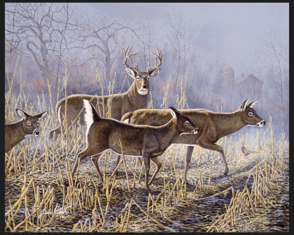 Cornfield Crossing Deer 45