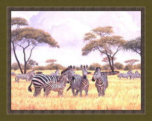 Extended Family Zebras 45" Wide Cotton Panel Fabric