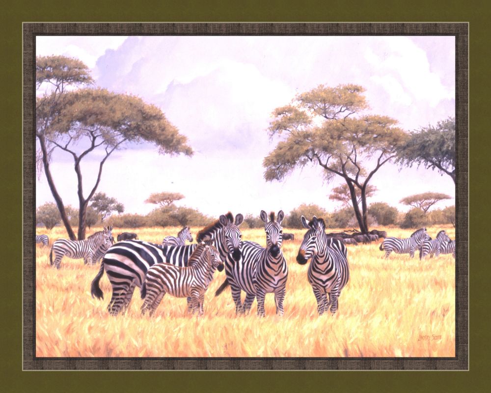 Extended Family Zebras 45