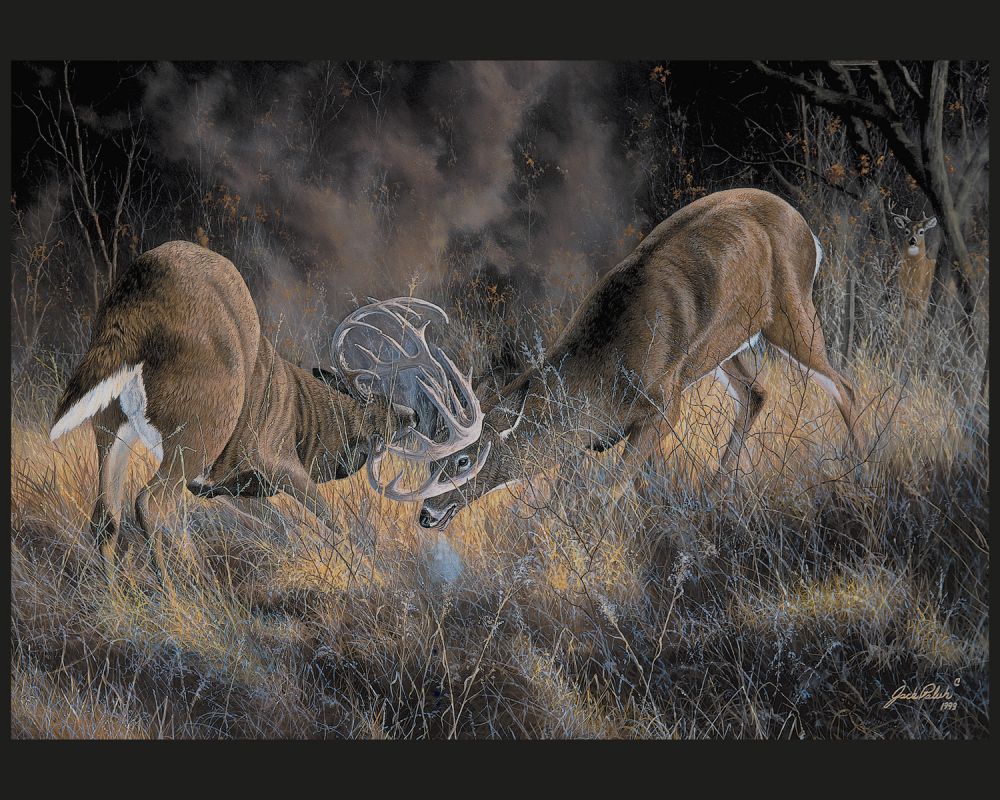 Fierce Rivals Deer Panel Cotton Fabric