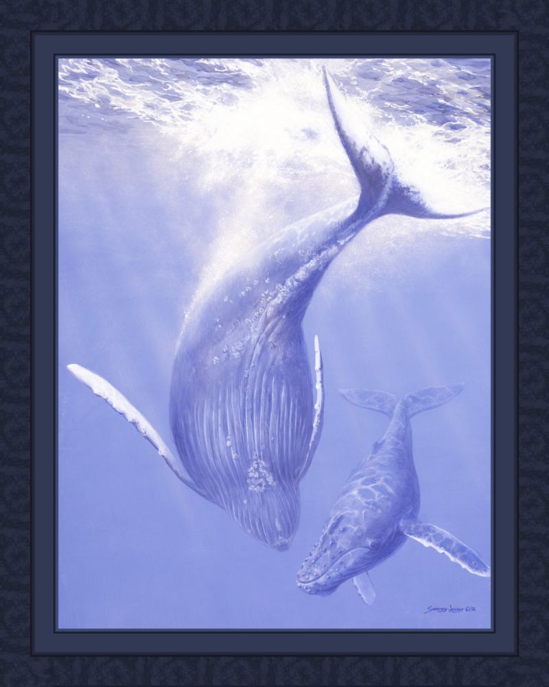 Ohana Blue Whale 45