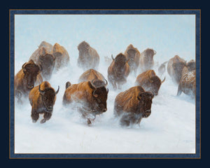 Silent Thunder Buffalo Panel Cotton Fabric