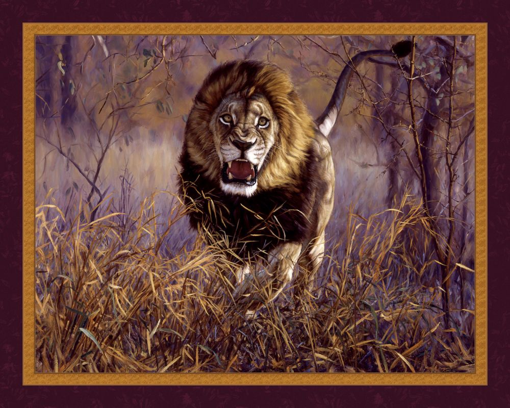 Inside The Red Zone Lions 45