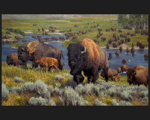 45" An American Migration Buffalo Cotton Panel