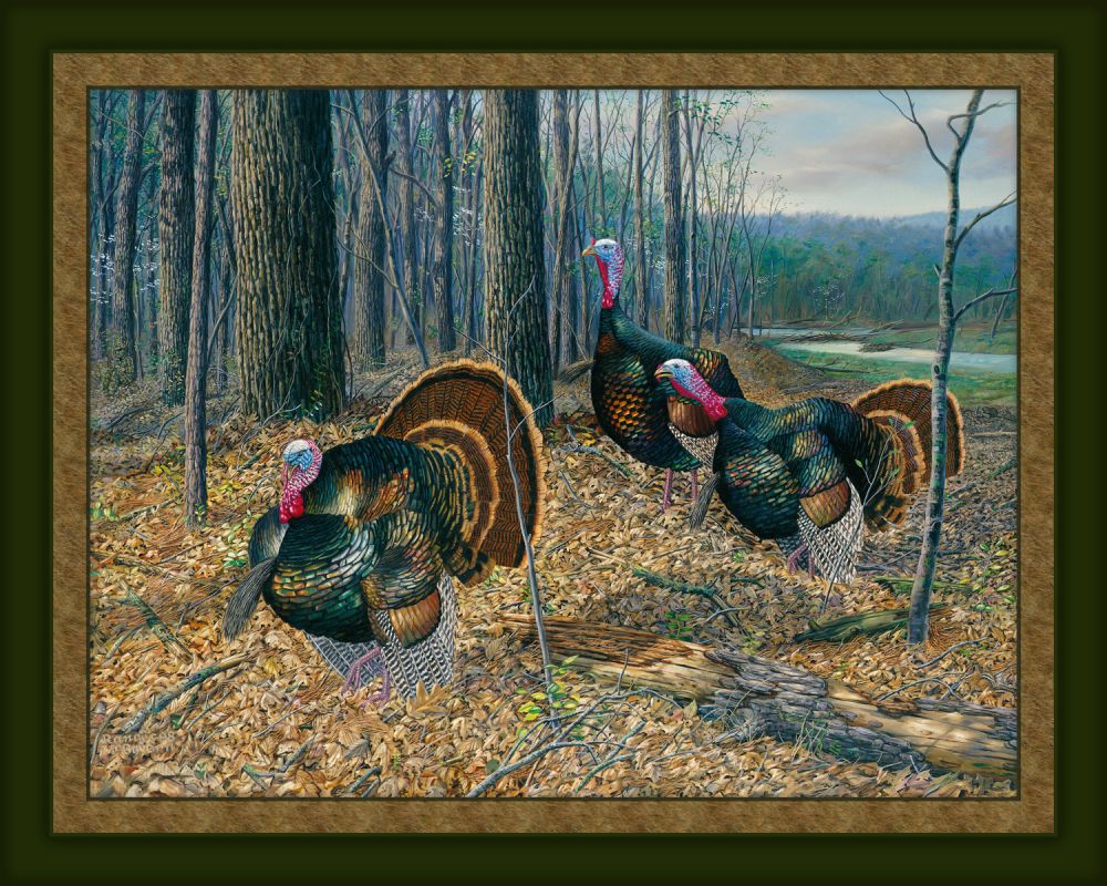 Riding The Coattails Turkey 45