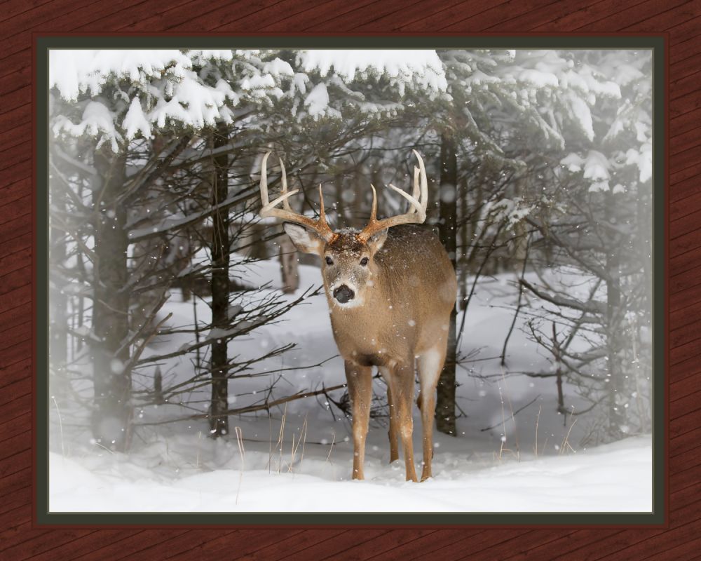 Winter Trophy Deer Panel Cotton Fabric