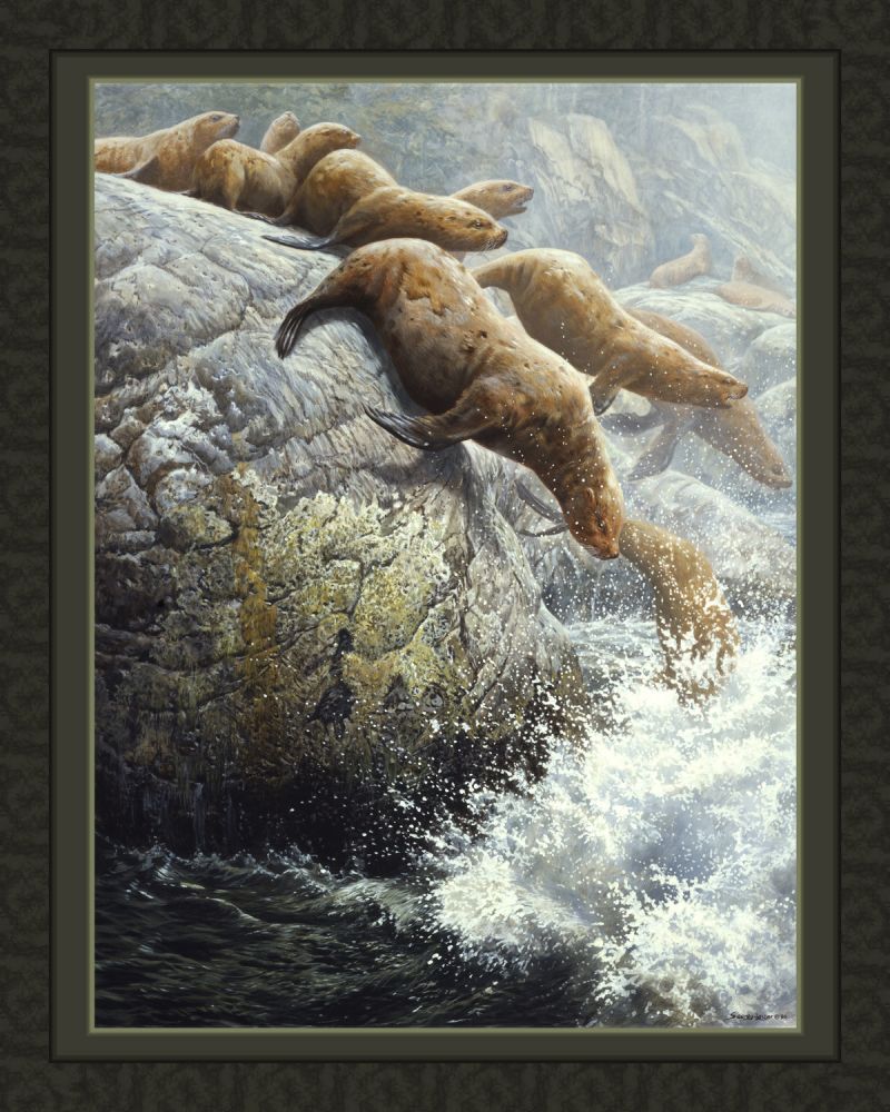 The Plunge Seal 45