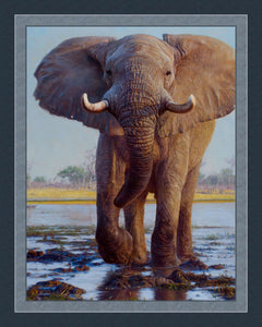 Kiongozi Elephant Panel Cotton Fabric