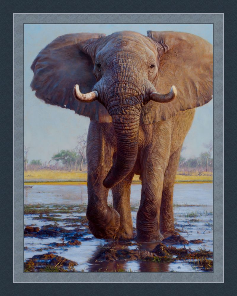 Kiongozi Elephant Panel Cotton Fabric