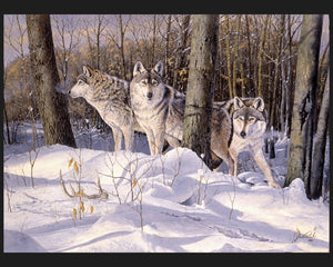 Silent Tracker Wolf Panel Cotton Fabric