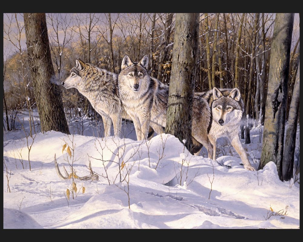 Silent Tracker Wolf Panel Cotton Fabric