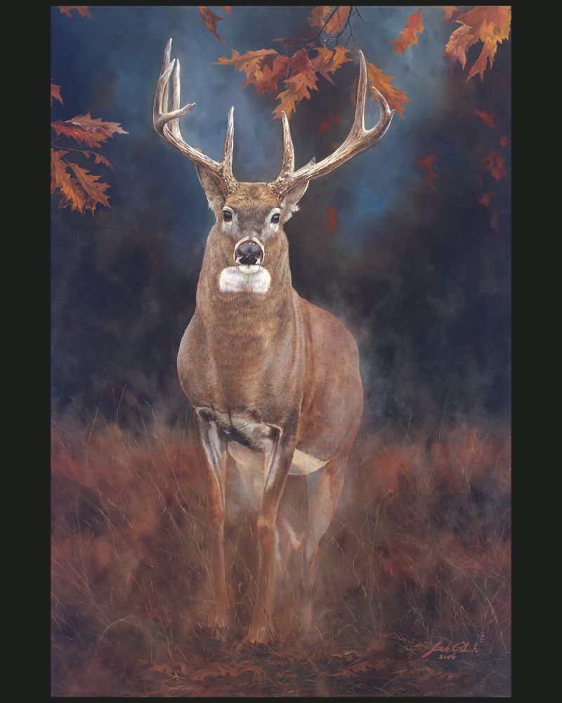 Close Encounter Deer Panel Cotton Fabric