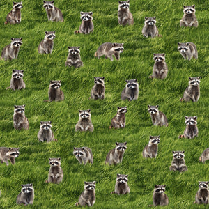 The Bandits Raccoon Cotton Fabric