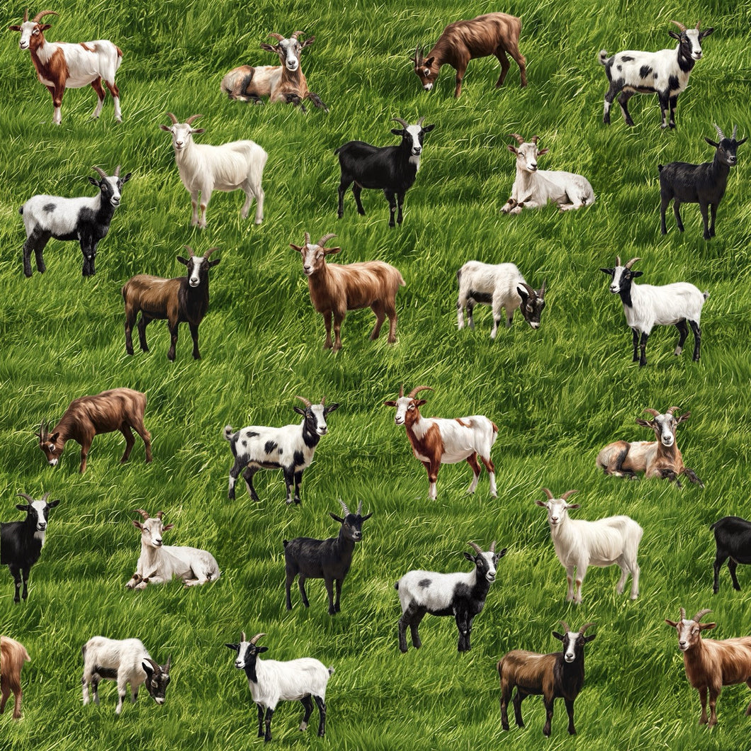 Goats Galore Cotton Fabric