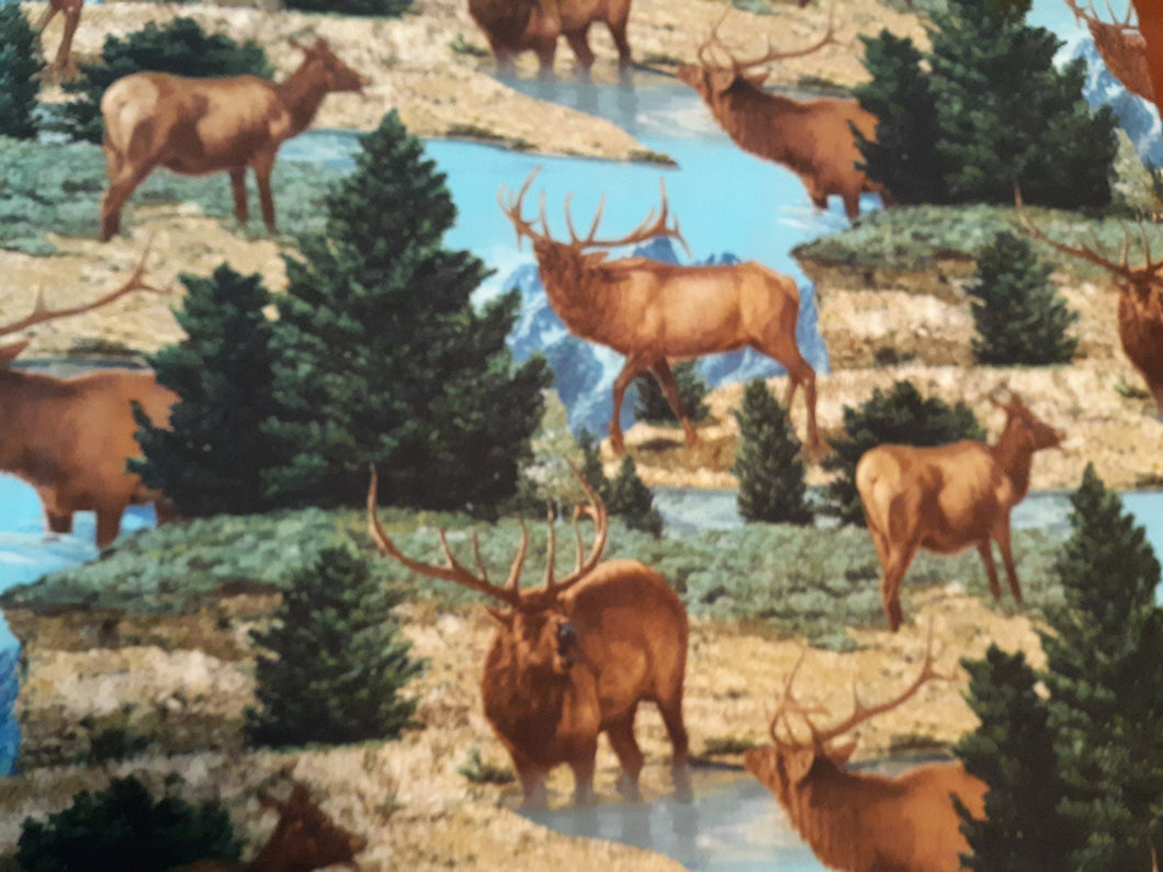Elk Scenic Bulls Cotton Fabric