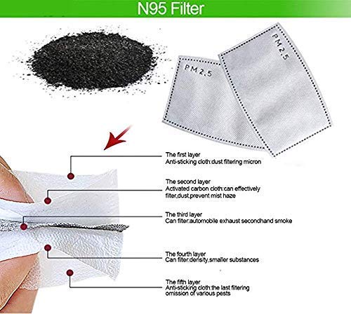 PM 2.5 MM Active Carbon Filters