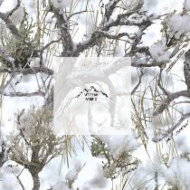 Great for any fan of True Timber Camouflage. This 100% cotton fabric is perfect for quilting, apparel, and many other sewing or crafting projects. This print features a variety of shades of brown, green, beige on a white background. Sold by the yard and half yard increments.