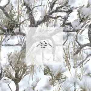 Great for any fan of True Timber Camouflage. This 100% cotton fabric is perfect for quilting, apparel, and many other sewing or crafting projects. This print features a variety of shades of brown, green, beige on a white background. Sold by the yard and half yard increments.