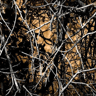 Muddy Girl Camo 