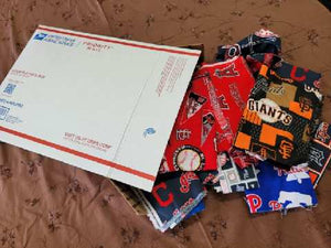 MLB Scrap Box- Medium Flat Rate Box