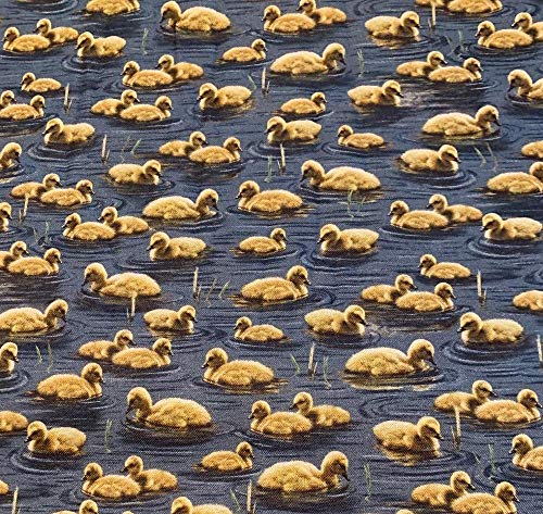 Ducklings Cotton Fabric
