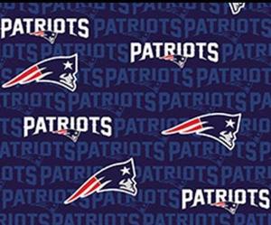 Patriots Mini Cotton Fabric