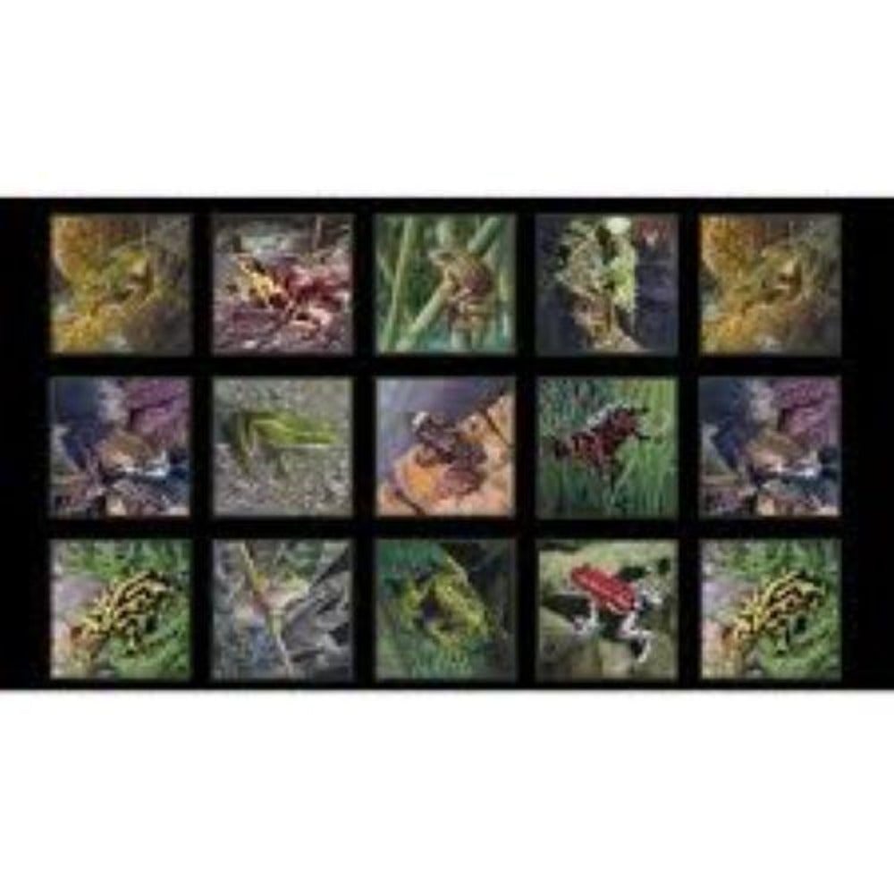 Frogs Block Panel Cotton Fabric