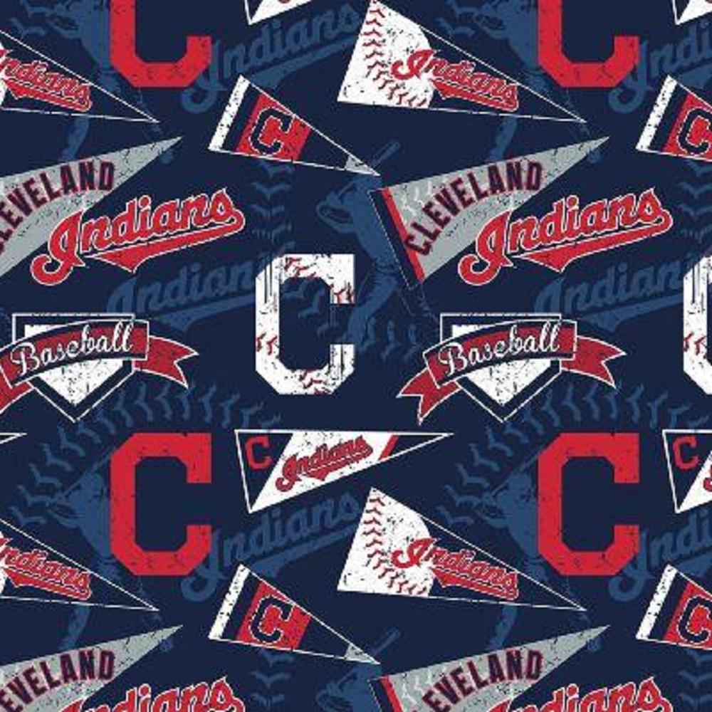 Handmade Valance or Curtain Panel Indians Flag