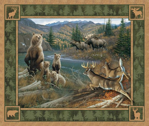 Northern Rim Panel Fabric