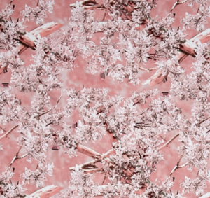 King Camo Pink Cotton Fabric